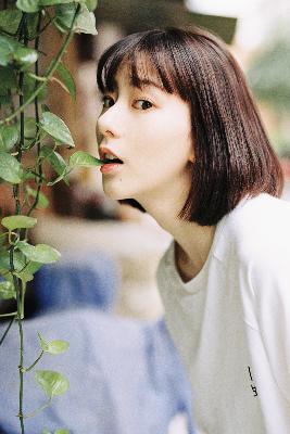 延禧攻略电视剧全集免费观看